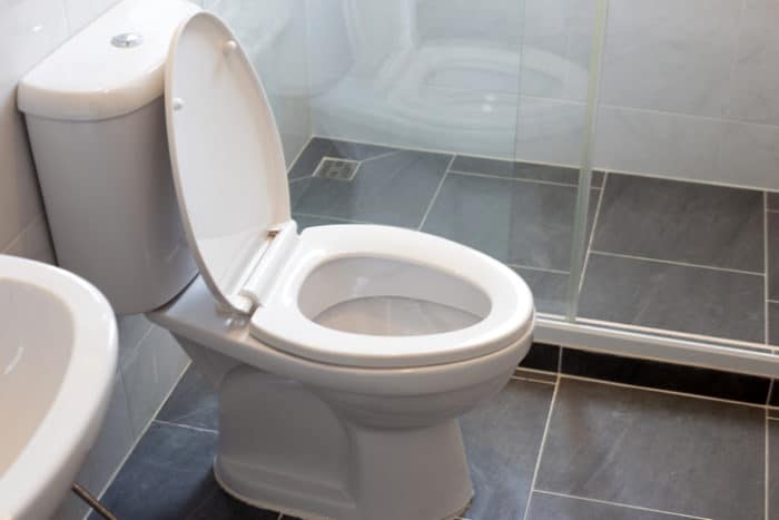 Why Should I Call a Professional to Fix My Clogged Toilet